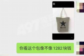 平邑融资清欠服务